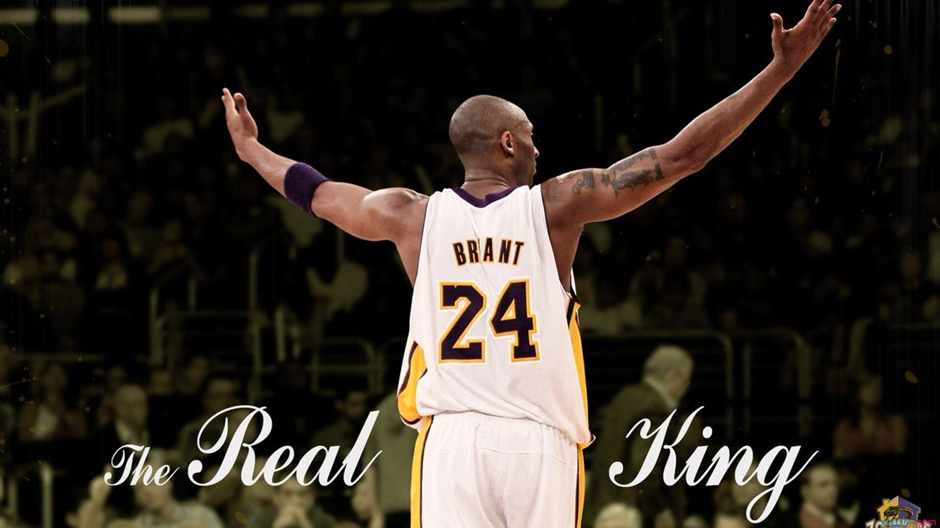 开云官网-银箭深陷泥潭，绝境中周冠宇电子刀锋出鞘